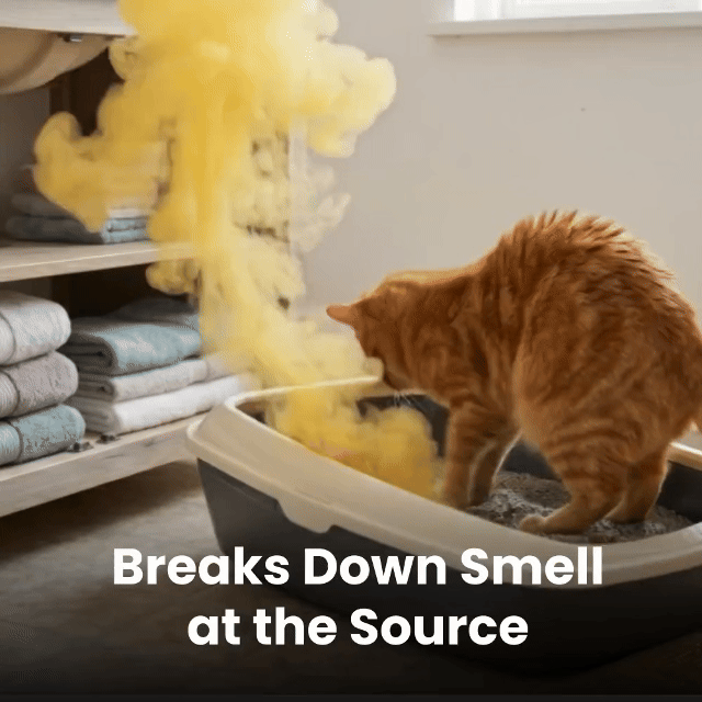 Animated pet litter area odor-control demonstration